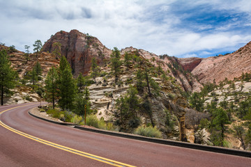 Road through the Zion National Park. Landscape of rock hills and trees. Utah, USA