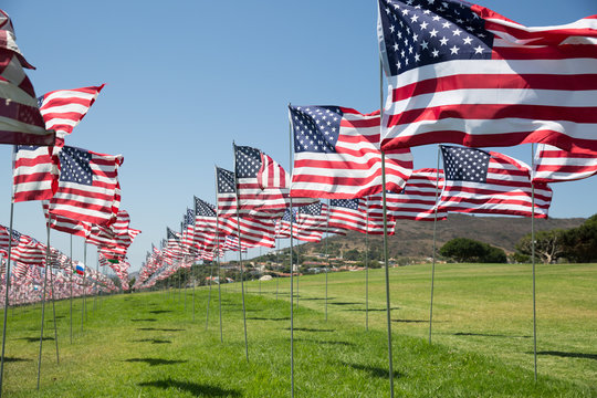 American Flags blowing on a beautiful day