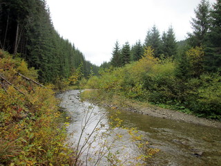 Fototapeta na wymiar Mountain river in autumn