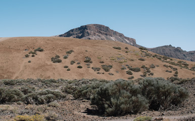 Teide National Park, Tenerife, Canary Islands