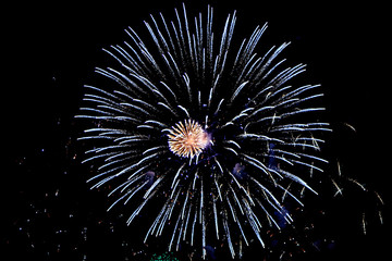 Fireworks Exploding against a Night Sky, at Lewes Bonfire Night Celebrations © lemanieh
