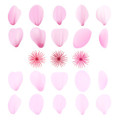 Realistic pink sakura petals icon set. Cherry petals