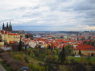 Fototapeta premium Widok pragnienia