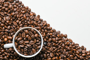 Fresh coffee beans on a white background