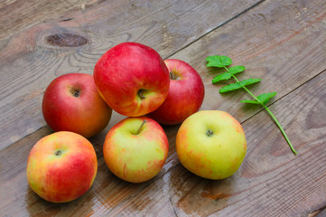 Ripe red apples covered with raindrops on the background of a wooden old table.