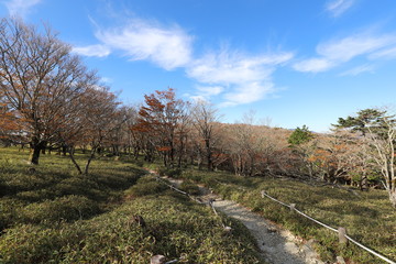 Fototapeta premium 大台ケ原 登山コース