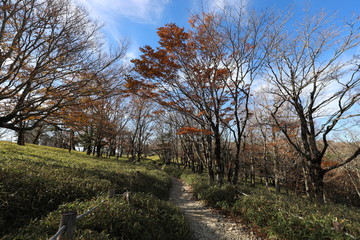 Obraz premium 大台ケ原 登山コース