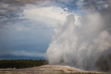 Fototapeta na wymiar Old Faithful Eruption at Yellowstone National Park