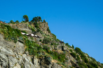 Fototapeta na wymiar Terrace on the cliffs above new beaches in Vernazza, Cinque Terre, La Spezia, Italy