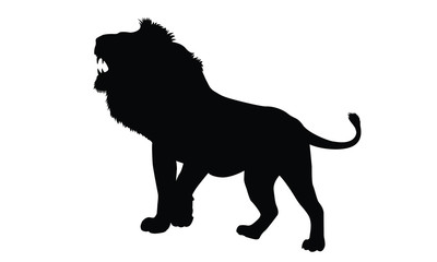 African lion. Lion silhouette. Vector illustration.