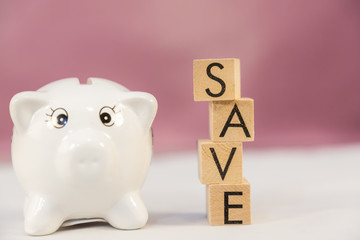 save plan in the piggy bank put on the money in the future for family background.