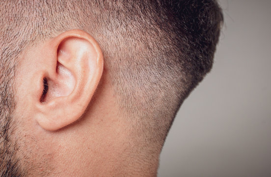 ear detail close-up shot  hearing concept