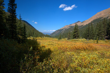 Fototapeta premium Fall colors in a mountain meadow surrounded by peaks on both sides with a blue sky overhead