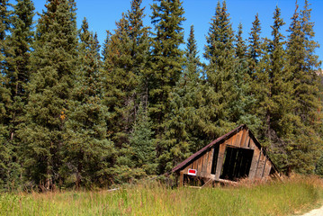 Top of an old barn sits in a mountain meadow surrounded by native grass and pine trees.