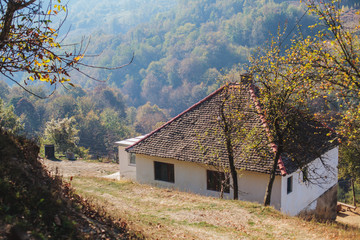 Rural Village Landscape