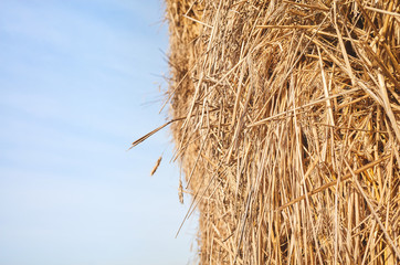 Fototapeta na wymiar Close up picture of a haystack against the sky, selective focus.