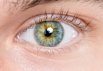 human eye detail macro close-up shot