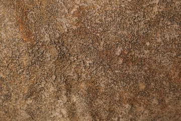 Texture of the wall for background