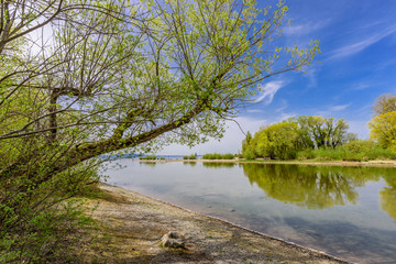 A river leads into Lake Constance