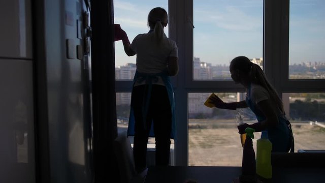 Rear view of two women cleaners in aprons and gloves spraying detergent while wiping window glass in domestic room. Professional staff of cleaning company washing windowpane on background of cityscape