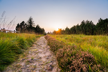 Wanderung im Schwarzwald
