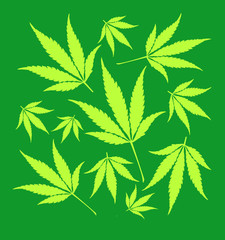 Cannabis leaf pattern illustration, green