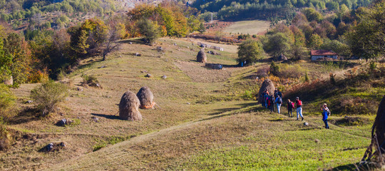 Hiking Group People Walking In Beautiful Nature Autumn