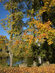 Obraz premium Autumn landscape with colorful trees