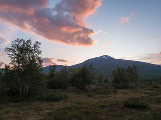 Beautiful wild Lapland nature landscape with birch tree forest and mountain Sanjartjakka. Sweden north landscape in summer, sunset pink clouds
