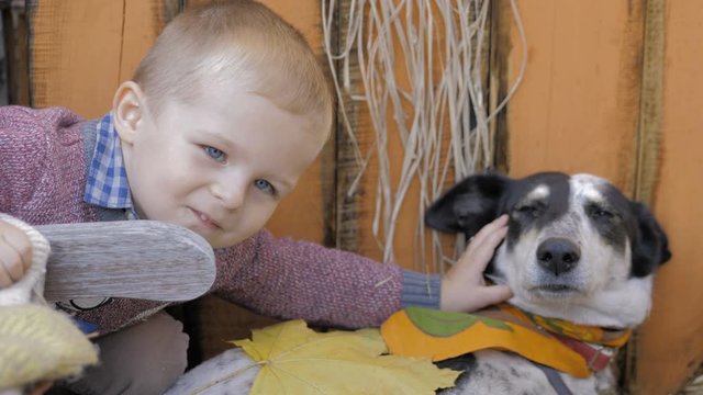 Boy enjoys playing with the dog in Halloween party