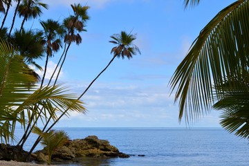 Vista de Paz