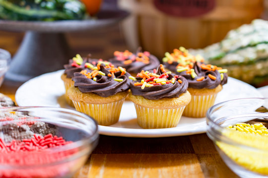 Autumn Themed Mini Cupcakes.  Yellow Cake With Chocolate Frosting With Orange, Red, And Yellow Sprinkles.  Cupcakes On Round White Plate.