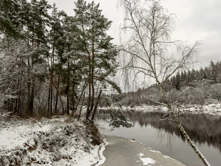 white snow formations on tree branches, river bank, beautiful winter day