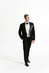 Obraz na płótnie Canvas Portrait of young smiling handsome man in tuxedo stylish black suit, studio shot isolated on white background. Showman or toastmaster in jacket with bowtie