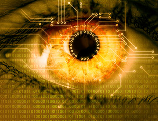 Biometric retina scan or cyber eye vision