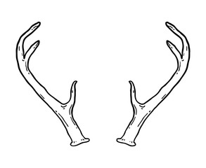 Hand drawn deer antlers