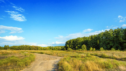 Obraz premium Autumn nature landscape