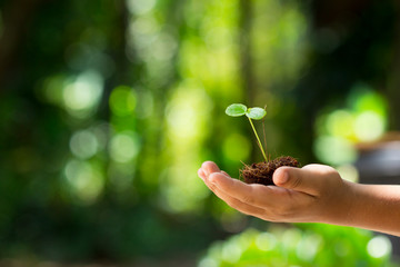 Hand of the Kids was carrying a bag of potting seedlings to be planted into the soil