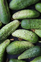 Fresh ripe cucumbers lie on the table, rural market