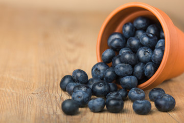 Blueberry on wooden table background. Ripe and juicy fresh picked blueberries closeup. Berries closeup.