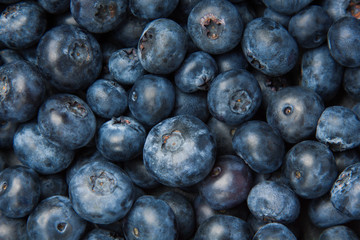 Blueberry  background. Berries closeup
