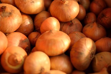 Obraz premium Ripe onion