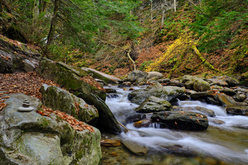 Naklejka na ściany i meble Moss covered rocks and colorful autumn leaves surround a brook with small cascades in the Vermont Forest near Stowe