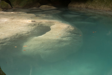 Naklejka premium Turquoise water pond in Urederra River, Navarra