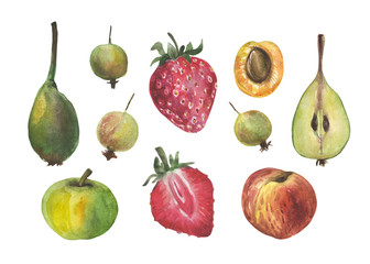 Watercolor set of fruits and berries. Peach, apricot, pear, apple, gooseberry, strawberry. On the theme of nature, food, fruit, cooking  I