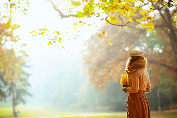 elegant woman with yellow leaves outside in autumn park