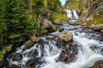 Fototapeta premium Mystic Falls in Yellowstone National Park
