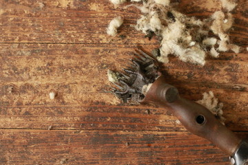 old vintage shearing shears on the floor of the family farm shearing shed surrounded by freshly shorn wool on a farm in rural Victoria, Australia