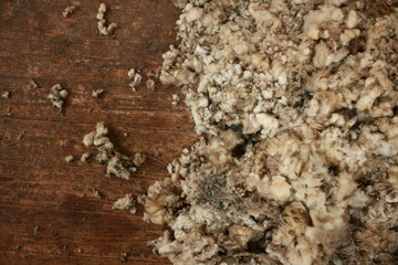 piles of freshly shorn wool scattered on the timber floor of the family farm woolshed shearing shed, rural Victoria, Australia