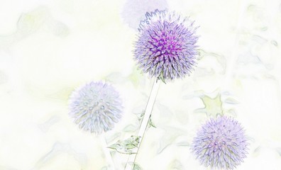 Close up of a beautiful blue thistle in the garden